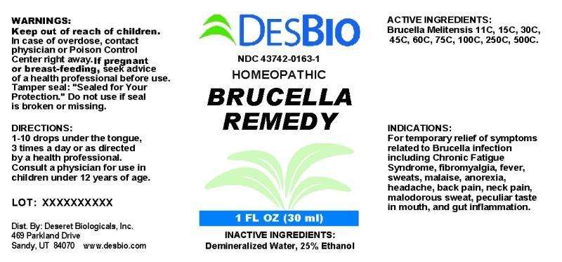 Brucella Remedy